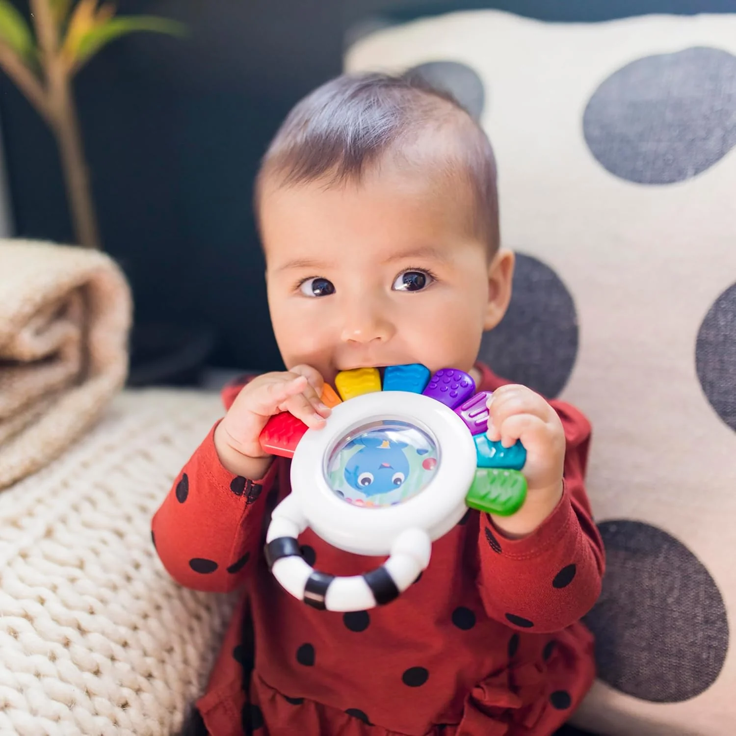 Baby Einstein Outstanding Opus Helistin/Purulelu - Image 2