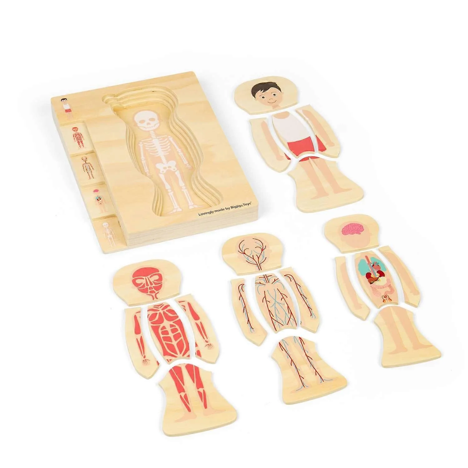 Bigjigs Puinen Palapeli Ihmisen Anatomia Poika - Image 2