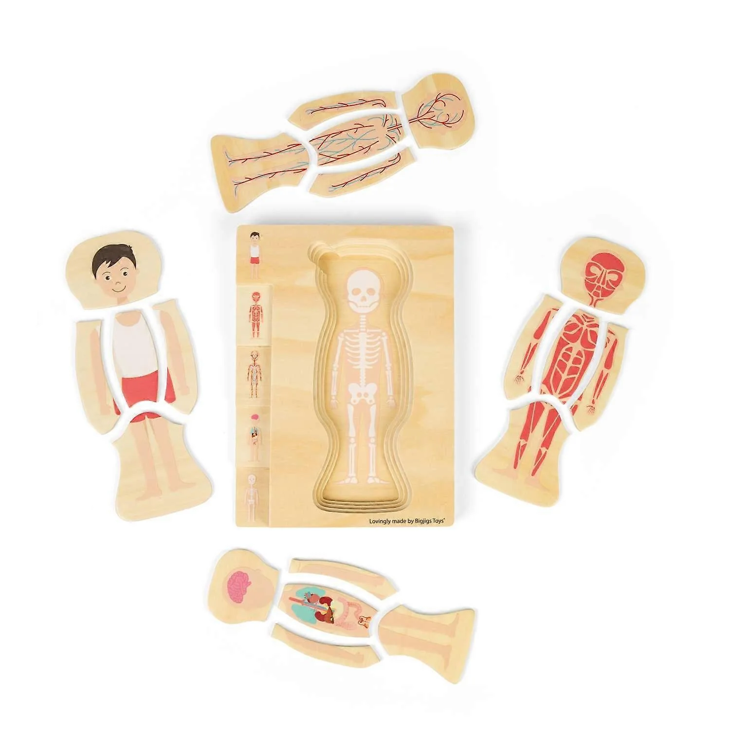 Bigjigs Puinen Palapeli Ihmisen Anatomia Poika - Image 3