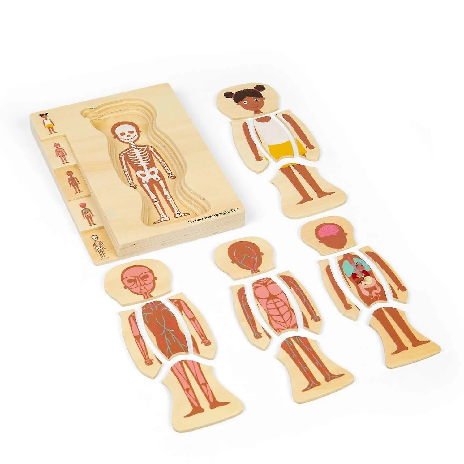 Bigjigs Puinen Palapeli Ihmisen Anatomia Tyttö - Image 2