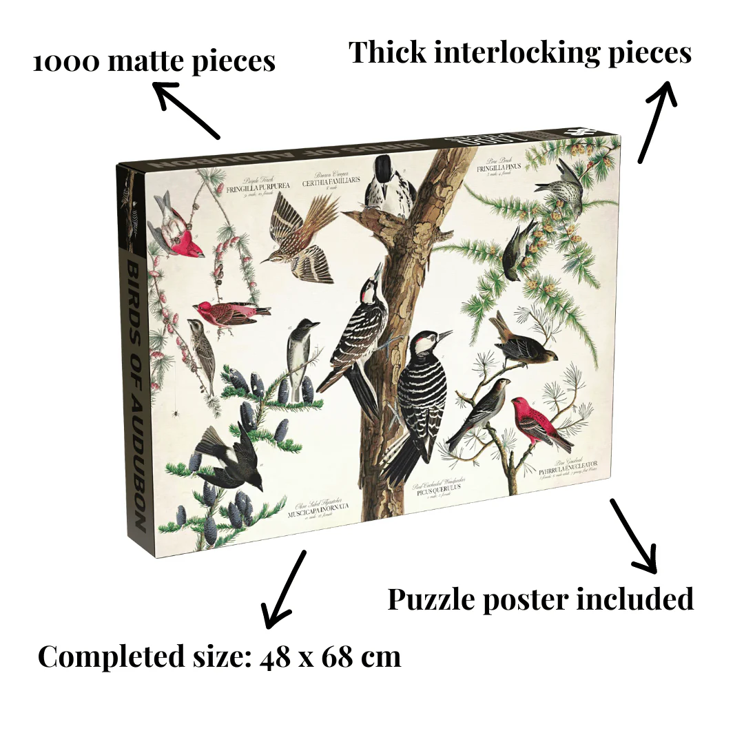 Penny Puzzle Birds of Audubon 1000 Palan Vintage Palapeli - Image 2