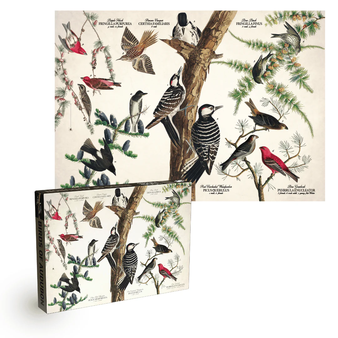 Penny Puzzle Birds of Audubon 1000 Palan Vintage Palapeli - Image 3