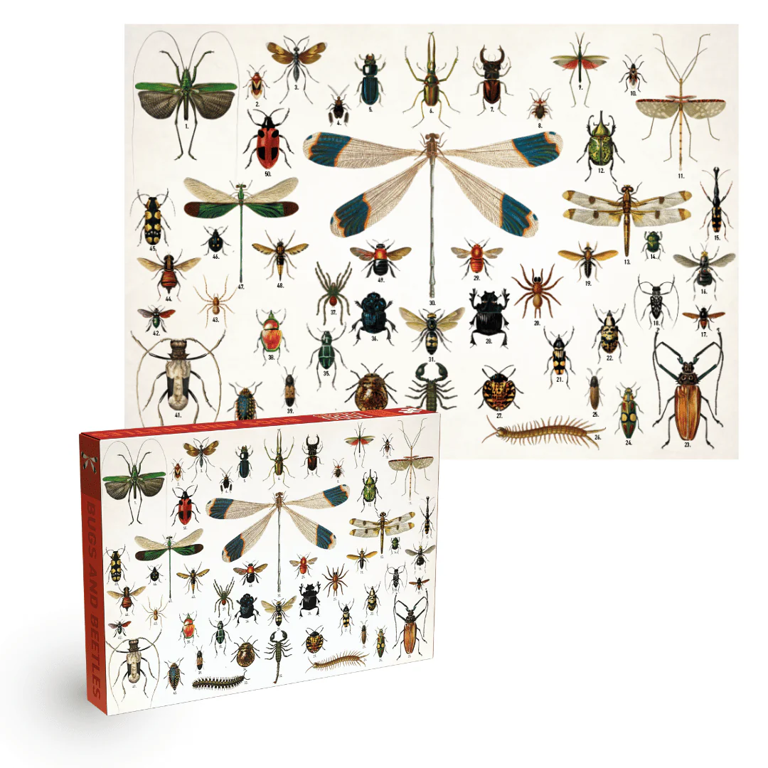 Penny Puzzle Bugs and Beetles Vintage 1000 Palan Palapeli - Image 3