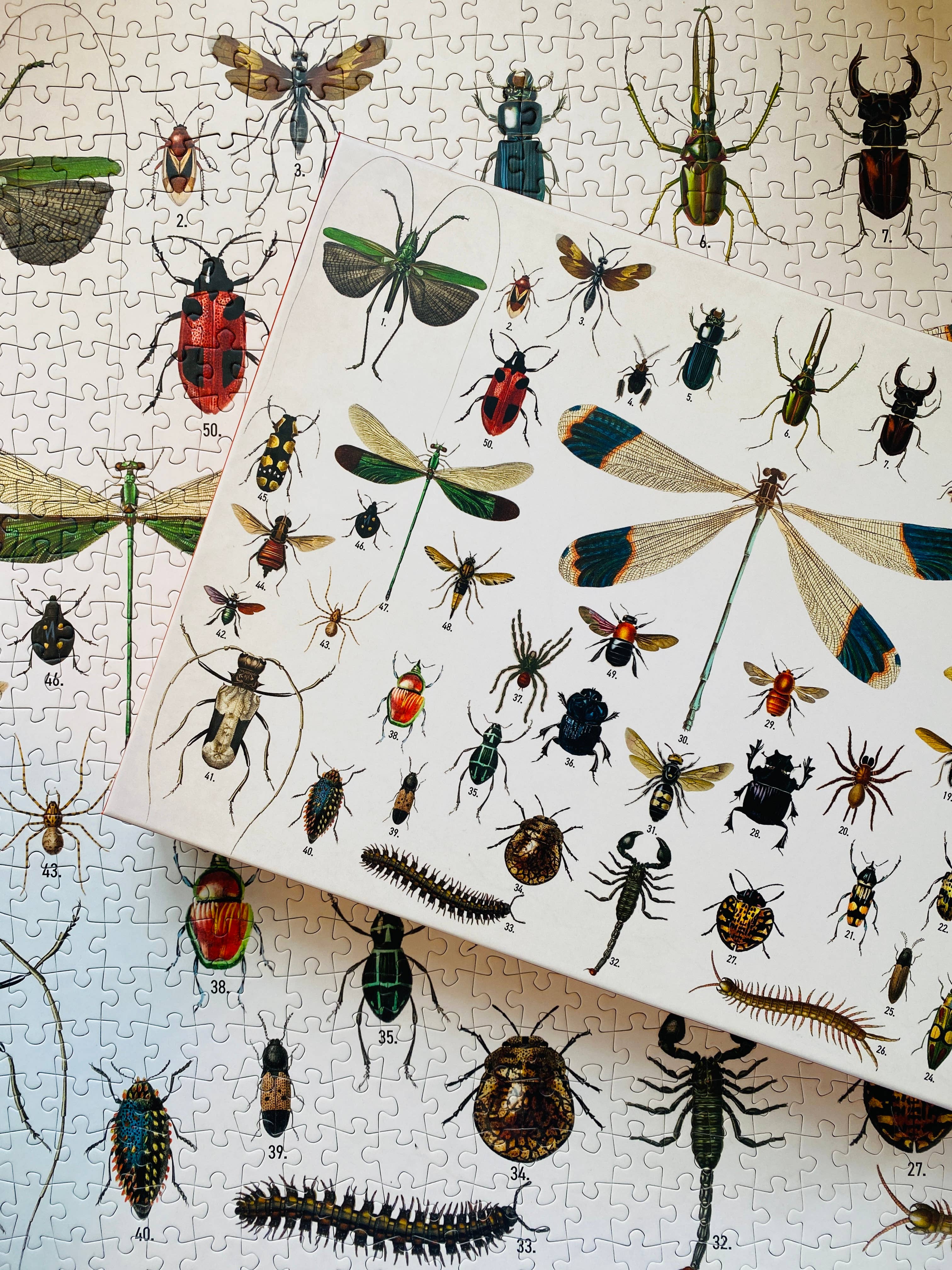 Penny Puzzle Bugs and Beetles Vintage 1000 Palan Palapeli - Image 4