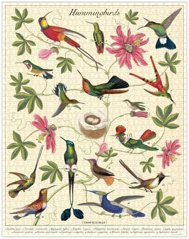 Cavallini & Co. Vintage Puzzle 1000 palaa Hummingbirds - Image 2