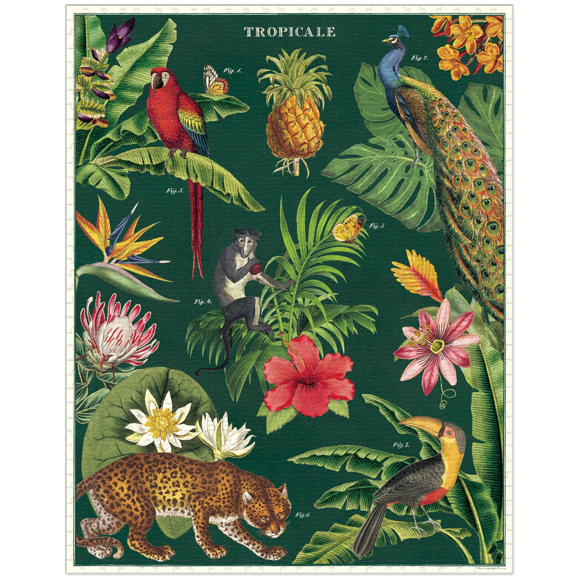 Cavallini & Co. Vintage Puzzle 1000 palaa Tropicale - Image 2