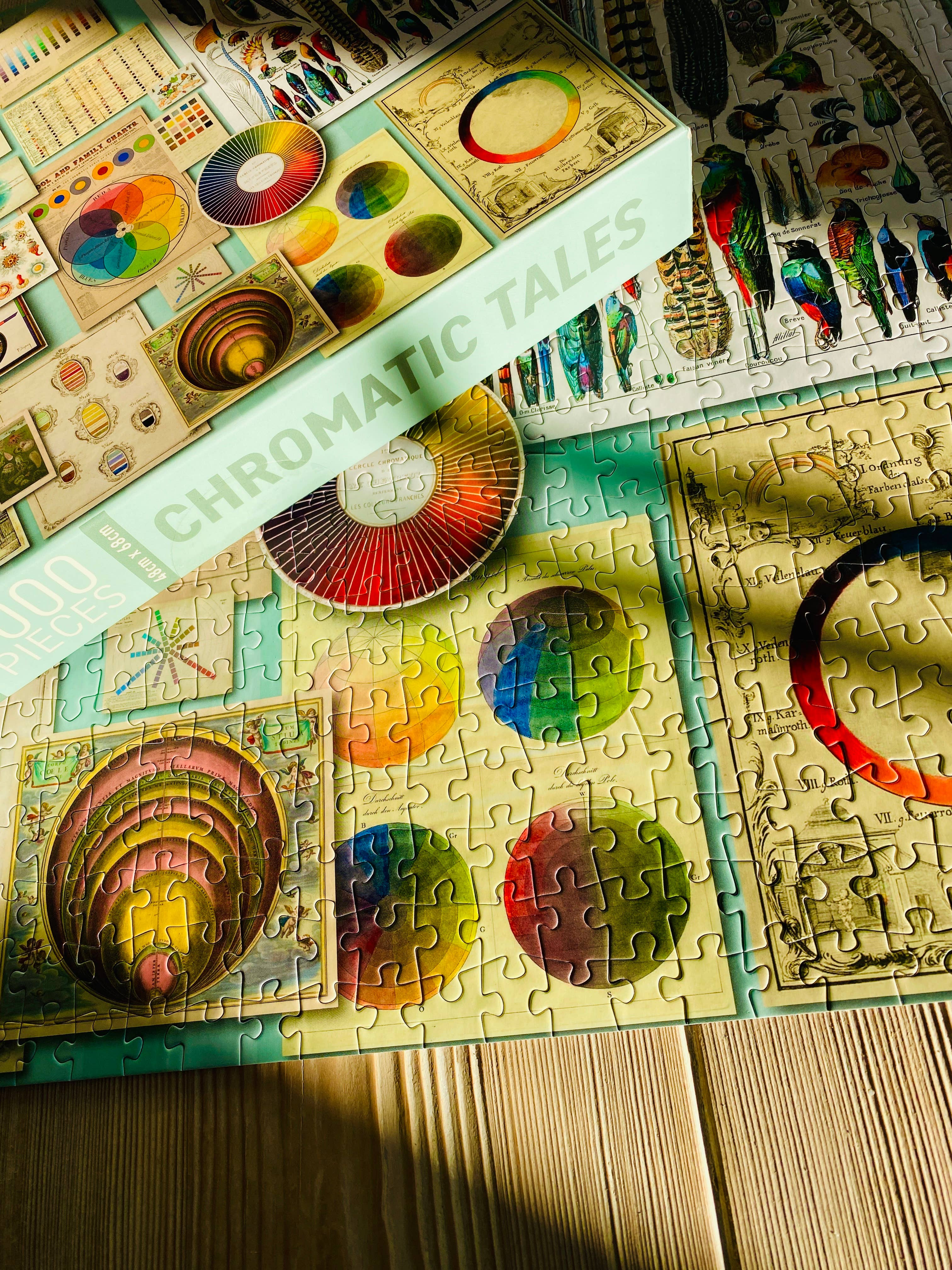Penny Puzzles Chromatic Tales 1000 Palan Palapeli - Image 3