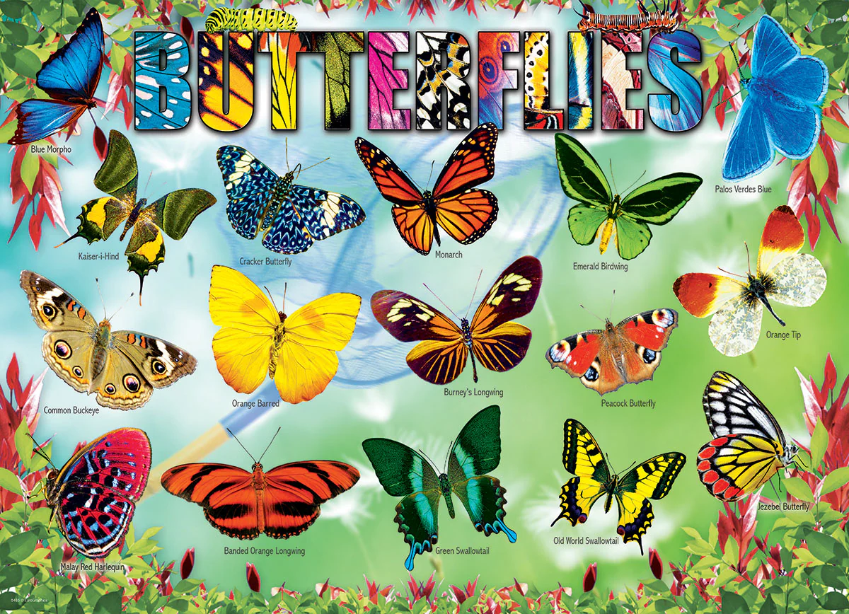 Eurographics 100 palan palapeli Butterflies - Image 2