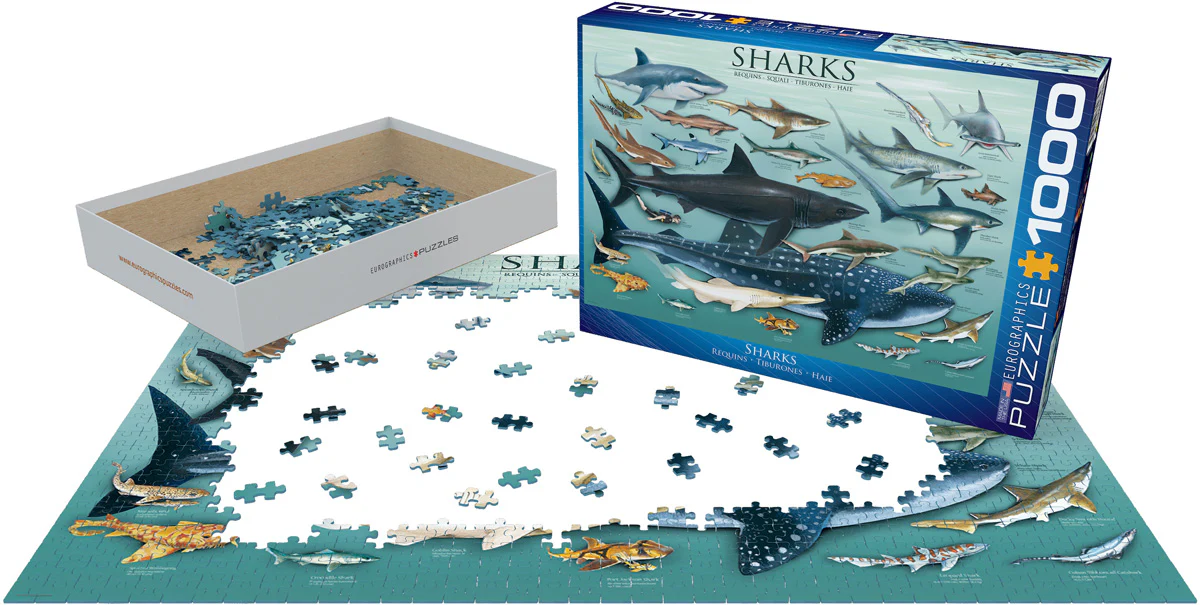 Eurographics Puzzle 1000 Palan Palapeli Sharks - Image 2