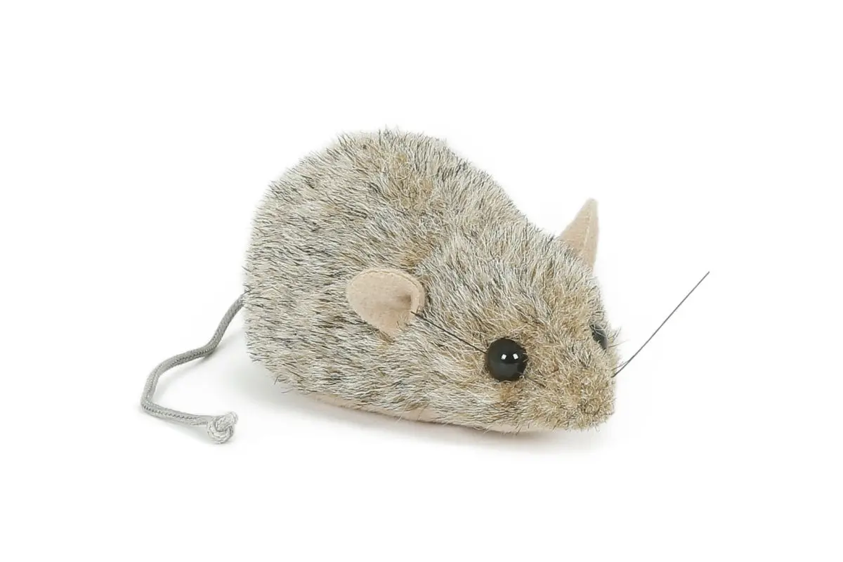 Pikkukuva 1
