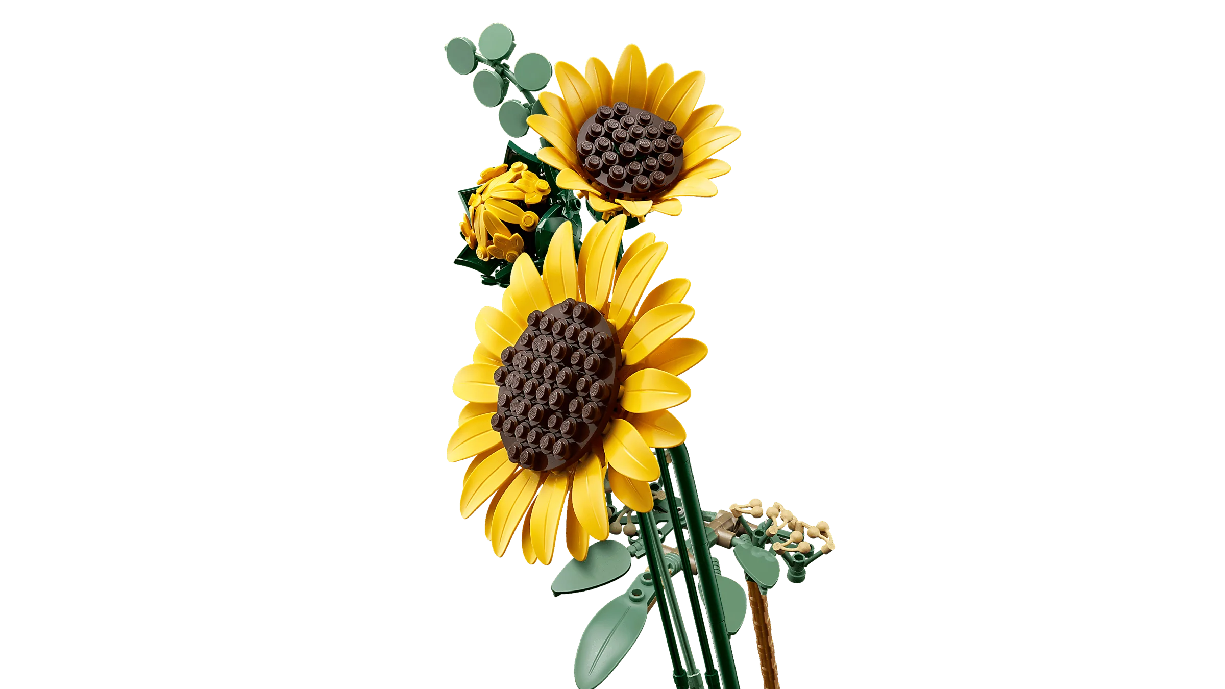LEGO Botanicals 11502 Auringonkukkakimppu - Image 5