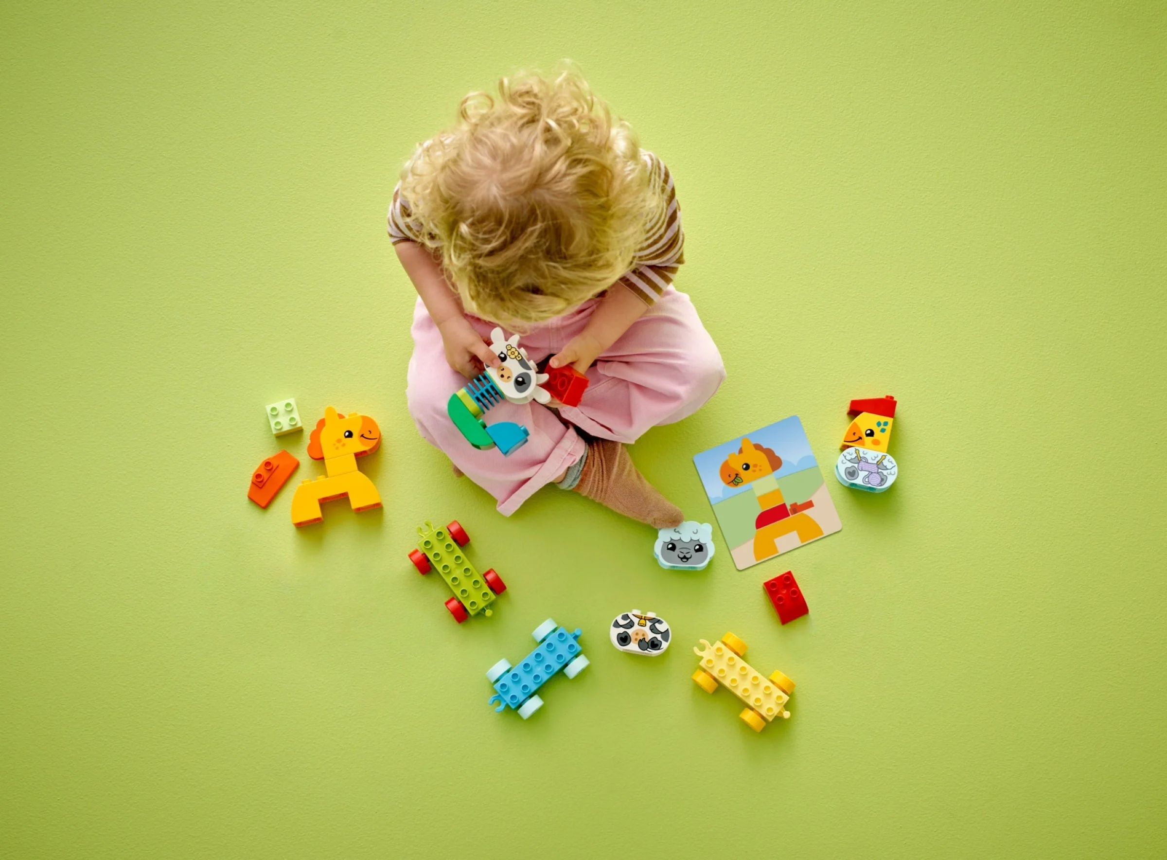 LEGO Duplo 10412 Eläinjuna - Image 2