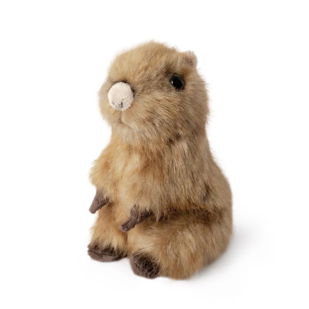 Living Nature Capybaran Poikanen Pehmolelu 15cm