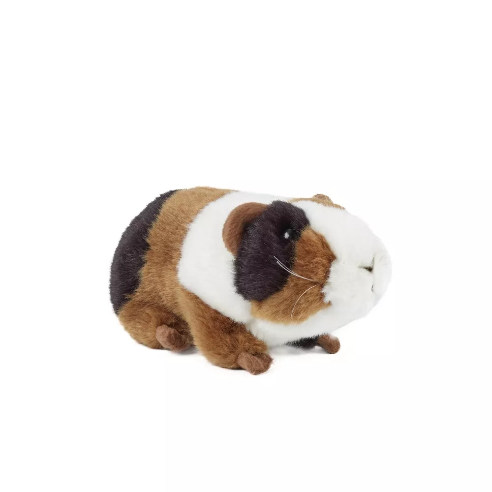 Pikkukuva 1