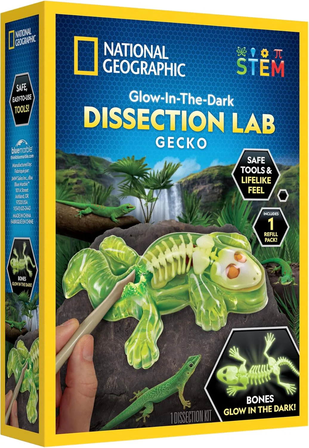 National Geographic Disection Lab Gecko