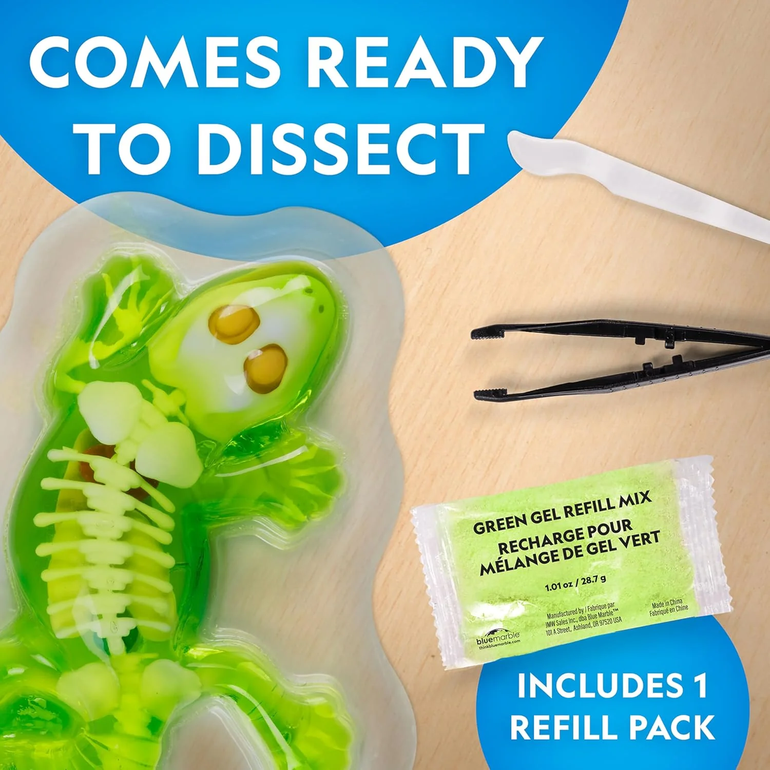 National Geographic Disection Lab Gecko - Image 3