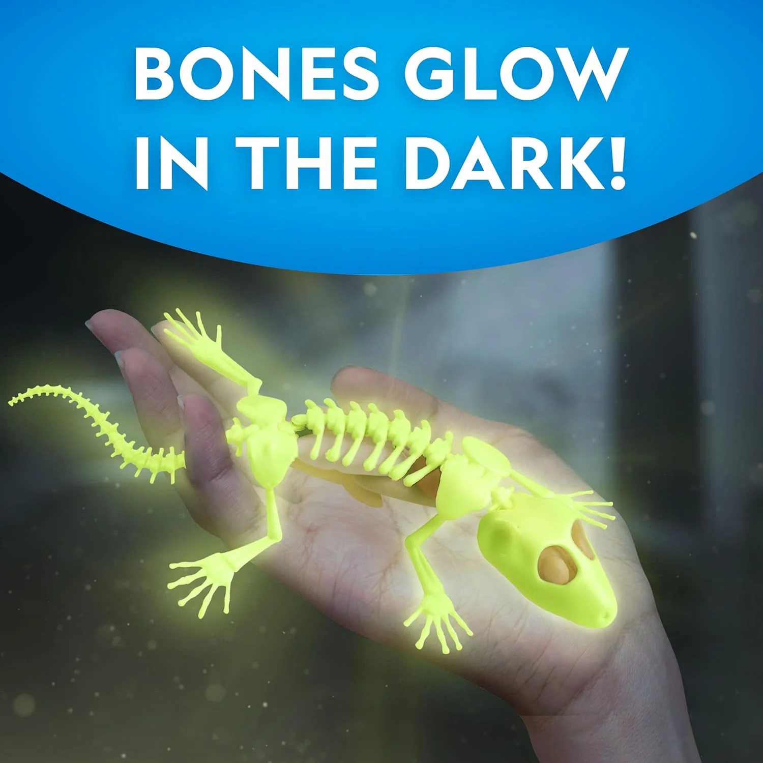 National Geographic Disection Lab Gecko - Image 4