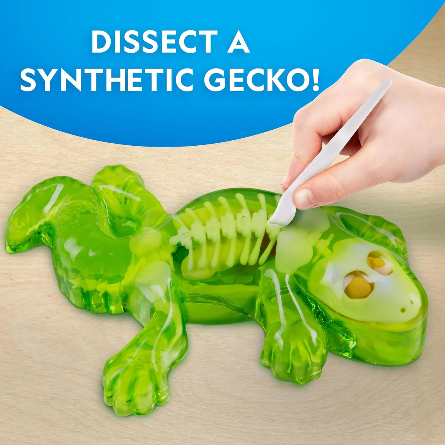 National Geographic Disection Lab Gecko - Image 5