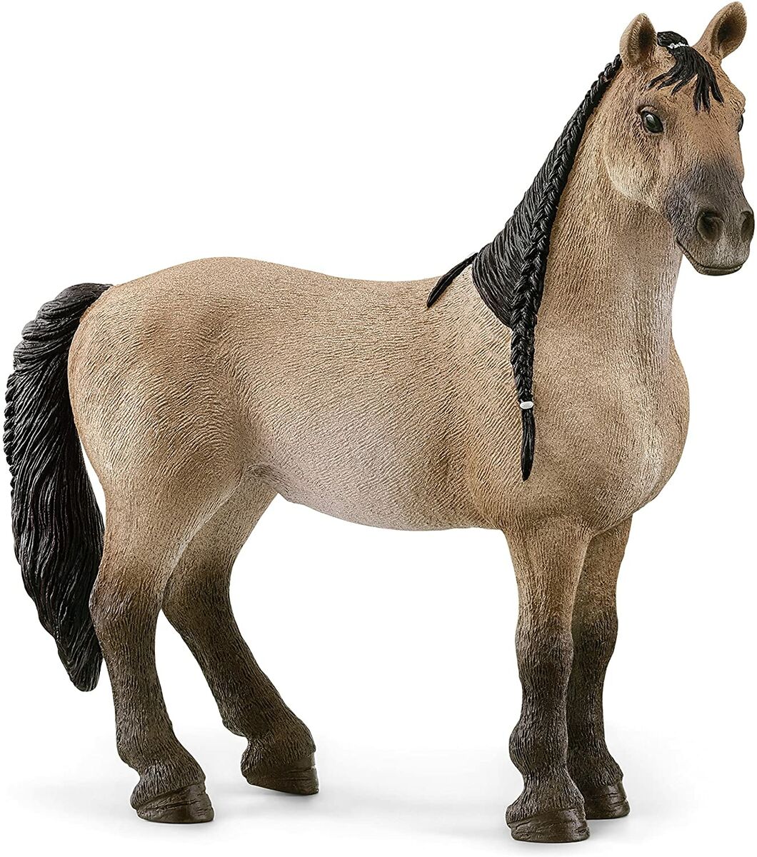 Schleich 13948 Criollo Definitivo Tamma