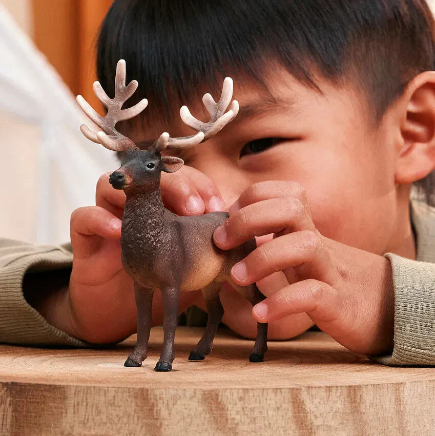 Schleich 14992 Kanadan Hirvi - Image 2
