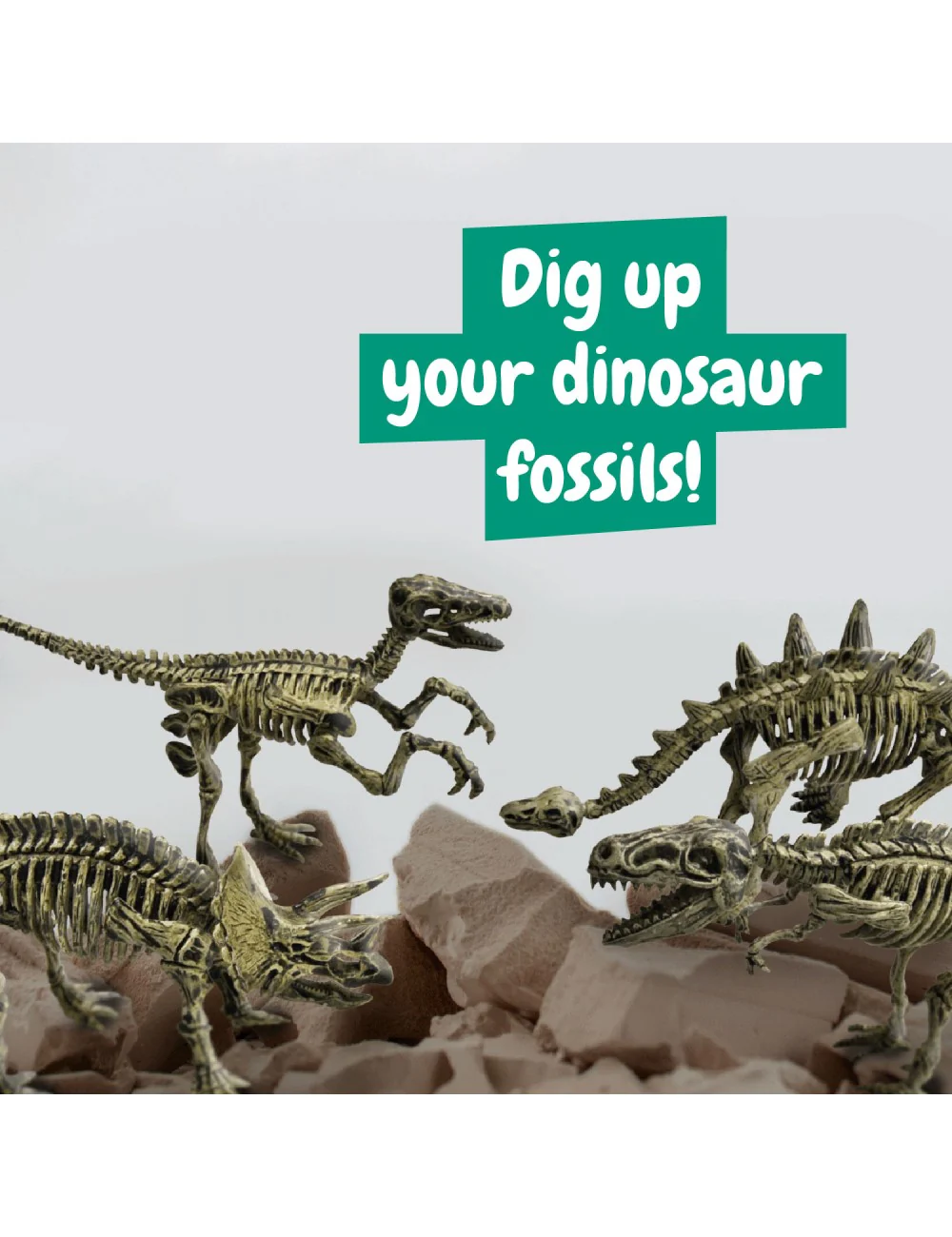 Science4You Fossiili Dinosaurus Kaivaussetti 4 in 1 - Image 4